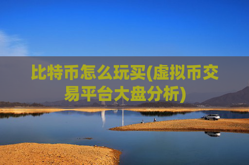 比特币怎么玩买(虚拟币交易平台大盘分析)