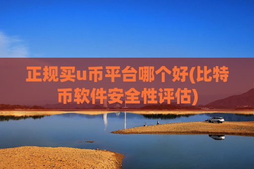 正规买u币平台哪个好(比特币软件安全性评估)