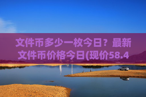 文件币多少一枚今日？最新文件币价格今日(现价58.4644元)