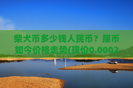 柴犬币多少钱人民币？屎币如今价格走势(现价0.00022916元)