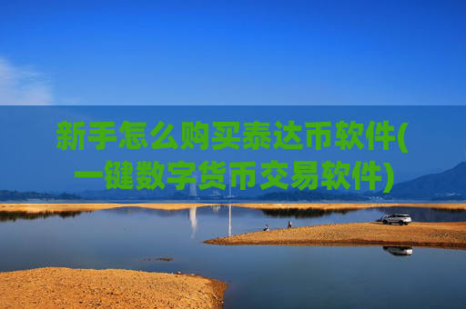 新手怎么购买泰达币软件(一键数字货币交易软件)