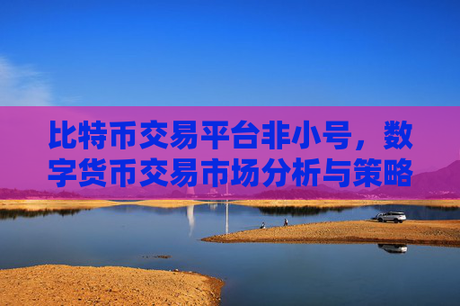 比特币交易平台非小号，数字货币交易市场分析与策略