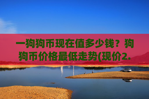 一狗狗币现在值多少钱？狗狗币价格最低走势(现价2.3249元)