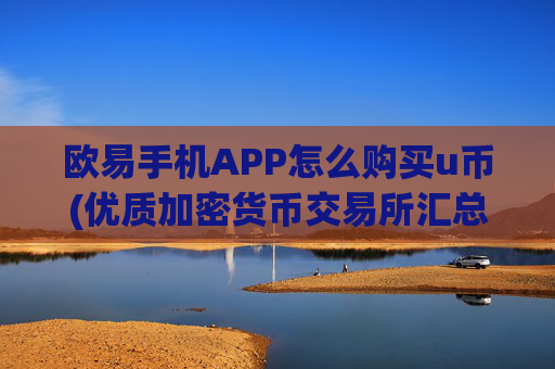 欧易手机APP怎么购买u币(优质加密货币交易所汇总)
