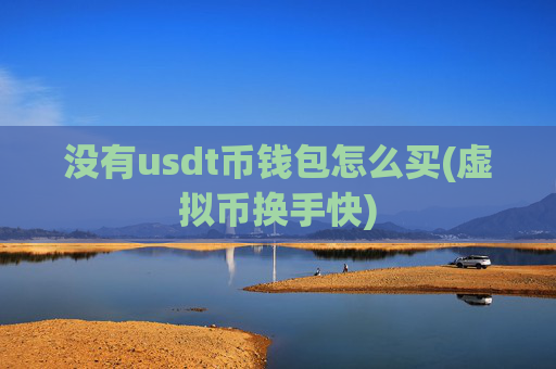 没有usdt币钱包怎么买(虚拟币换手快)