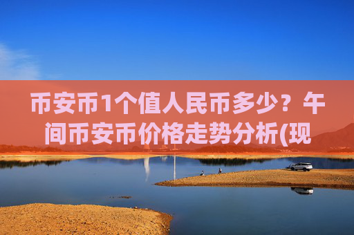 币安币1个值人民币多少？午间币安币价格走势分析(现价4792.49元)