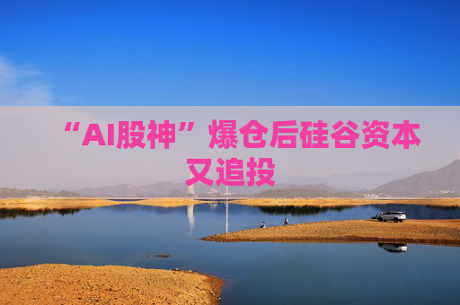 “AI股神”爆仓后硅谷资本又追投