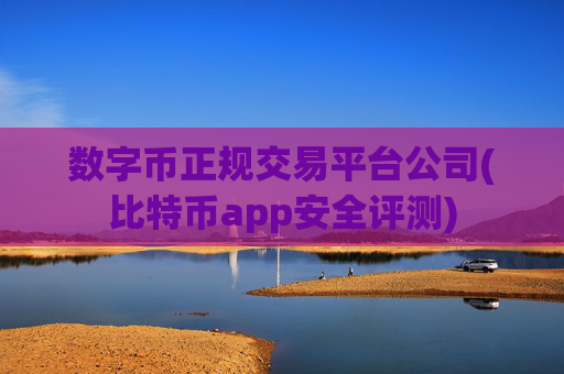 数字币正规交易平台公司(比特币app安全评测)
