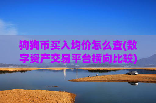 狗狗币买入均价怎么查(数字资产交易平台横向比较)