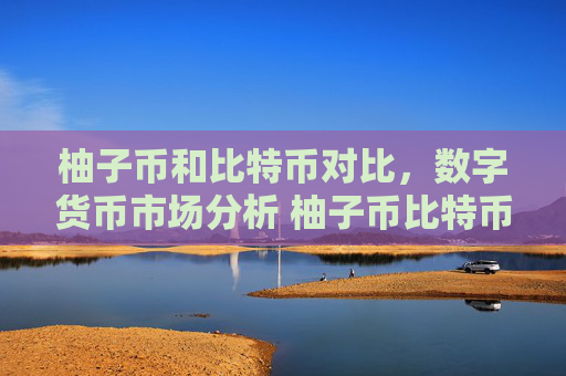 柚子币和比特币对比，数字货币市场分析 柚子币比特币特性比较