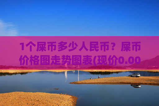 1个屎币多少人民币？屎币价格图走势图表(现价0.00015639元)