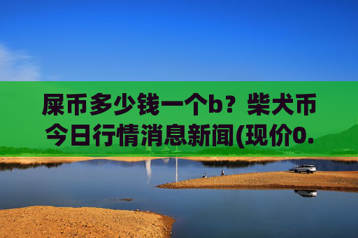 屎币多少钱一个b？柴犬币今日行情消息新闻(现价0.00022856元)