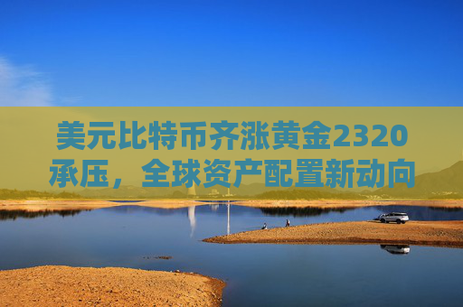 美元比特币齐涨黄金2320承压,全球资产配置新动向