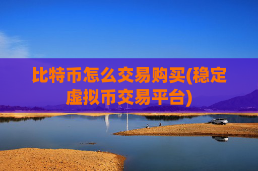 比特币怎么交易购买(稳定虚拟币交易平台)