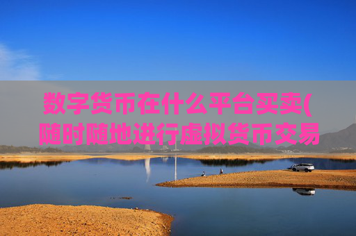数字货币在什么平台买卖(随时随地进行虚拟货币交易)