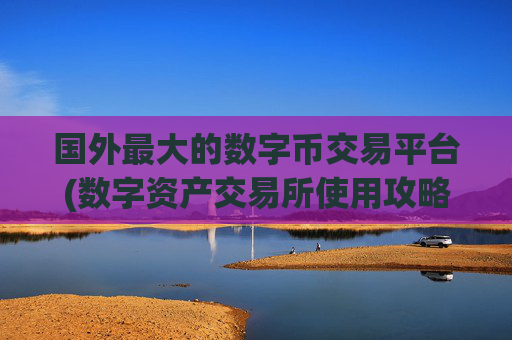 国外最大的数字币交易平台(数字资产交易所使用攻略)
