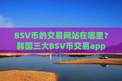 BSV币的交易网站在哪里？韩国三大BSV币交易app