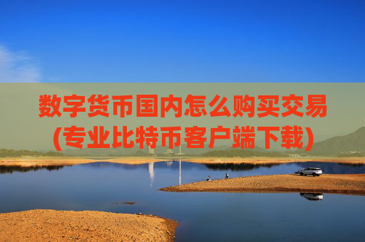 数字货币国内怎么购买交易(专业比特币客户端下载)