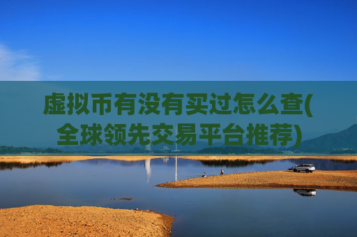 虚拟币有没有买过怎么查(全球领先交易平台推荐)