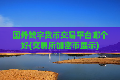 国外数字货币交易平台哪个好(交易所加密币展示)