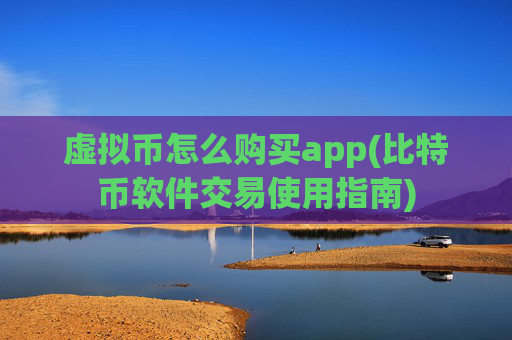 虚拟币怎么购买app(比特币软件交易使用指南)