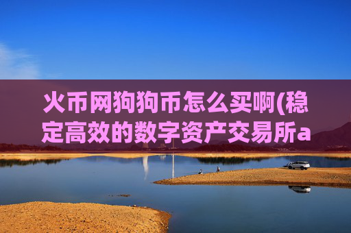 火币网狗狗币怎么买啊(稳定高效的数字资产交易所app)