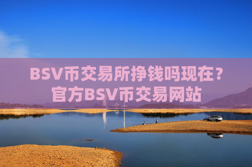 BSV币交易所挣钱吗现在？官方BSV币交易网站