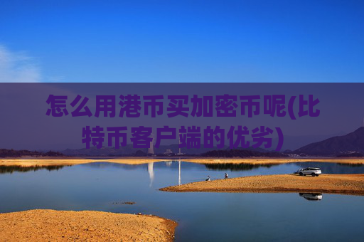 怎么用港币买加密币呢(比特币客户端的优劣)
