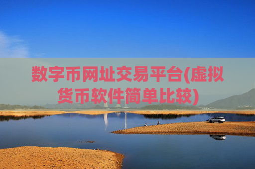 数字币网址交易平台(虚拟货币软件简单比较)