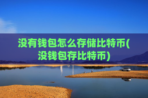 没有钱包怎么存储比特币(没钱包存比特币)