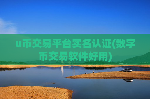 u币交易平台实名认证(数字币交易软件好用)