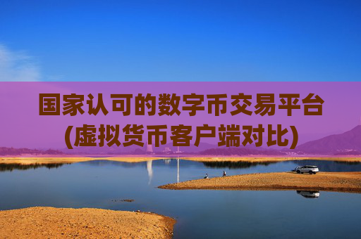 国家认可的数字币交易平台(虚拟货币客户端对比)