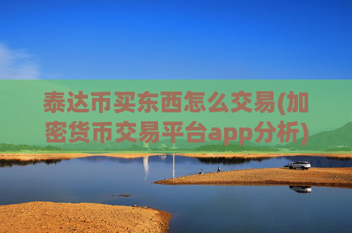 泰达币买东西怎么交易(加密货币交易平台app分析)