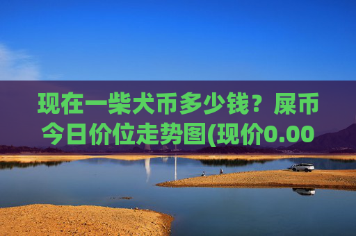 现在一柴犬币多少钱？屎币今日价位走势图(现价0.00022831元)
