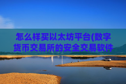 怎么样买以太坊平台(数字货币交易所的安全交易软件)