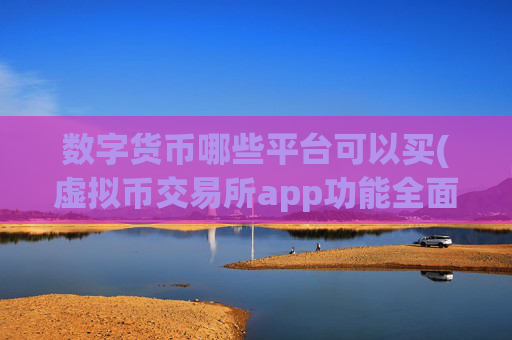 数字货币哪些平台可以买(虚拟币交易所app功能全面解析)