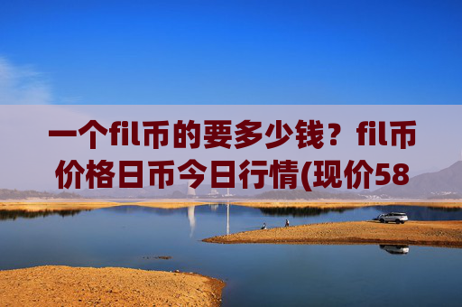 一个fil币的要多少钱?fil币价格日币今日行情(现价58.933元)