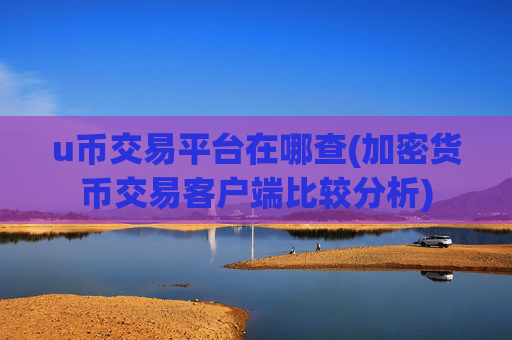 u币交易平台在哪查(加密货币交易客户端比较分析)