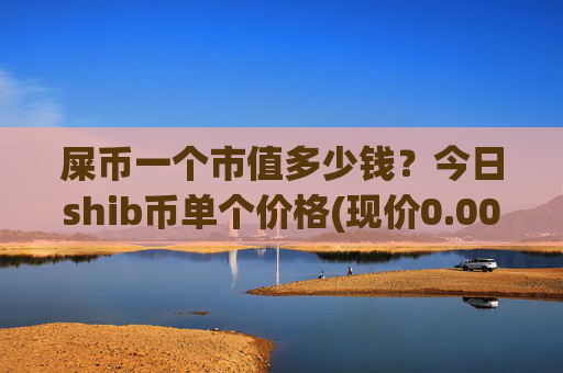 屎币一个市值多少钱？今日shib币单个价格(现价0.00022855元)