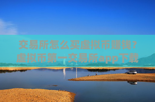 交易所怎么买虚拟币赚钱？虚拟币第一交易所app下载咋样