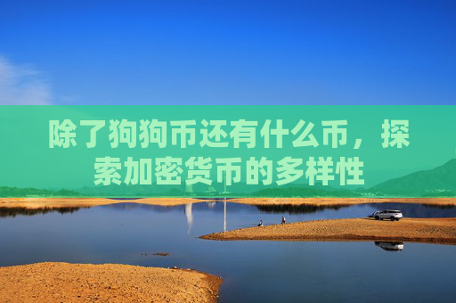 除了狗狗币还有什么币，探索加密货币的多样性