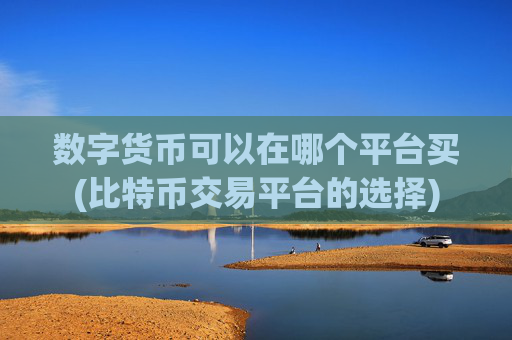 数字货币可以在哪个平台买(比特币交易平台的选择)