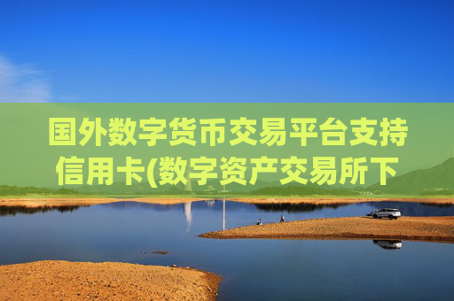 国外数字货币交易平台支持信用卡(数字资产交易所下载指南)