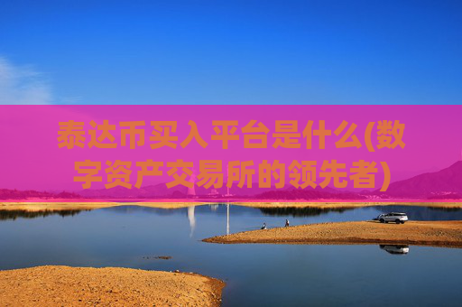 泰达币买入平台是什么(数字资产交易所的领先者)