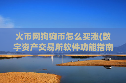 火币网狗狗币怎么买涨(数字资产交易所软件功能指南)