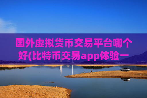 国外虚拟货币交易平台哪个好(比特币交易app体验一流)