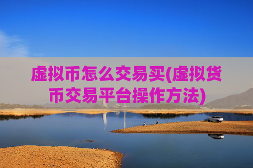 虚拟币怎么交易买(虚拟货币交易平台操作方法)