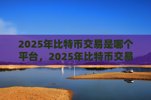 2025年比特币交易是哪个平台，2025年比特币交易领先平台