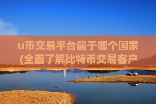 u币交易平台属于哪个国家(全面了解比特币交易客户端)
