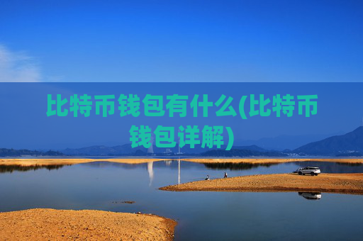 比特币钱包有什么(比特币钱包详解)